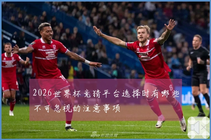 2026世界杯竞猜平台选择时有哪些不可忽视的注意事项