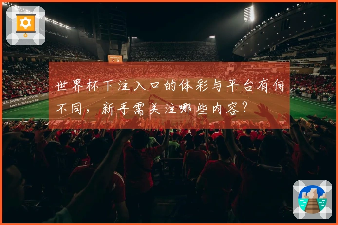 世界杯下注入口的体彩与平台有何不同，新手需关注哪些内容？