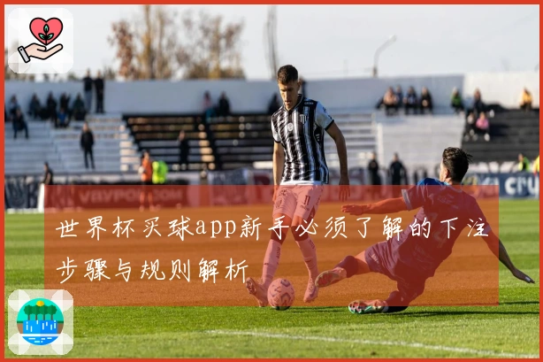 世界杯买球app新手必须了解的下注步骤与规则解析