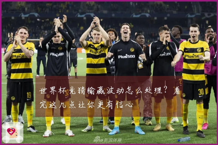 世界杯竞猜输赢波动怎么处理？看完这几点让你更有信心
