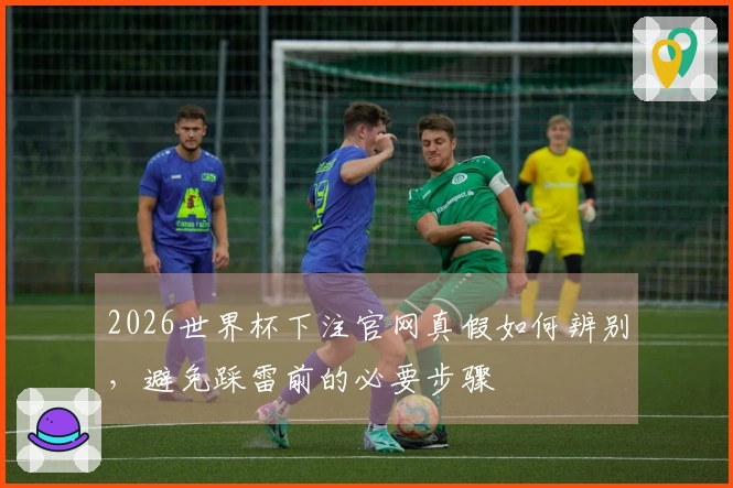 2026世界杯下注官网真假如何辨别，避免踩雷前的必要步骤