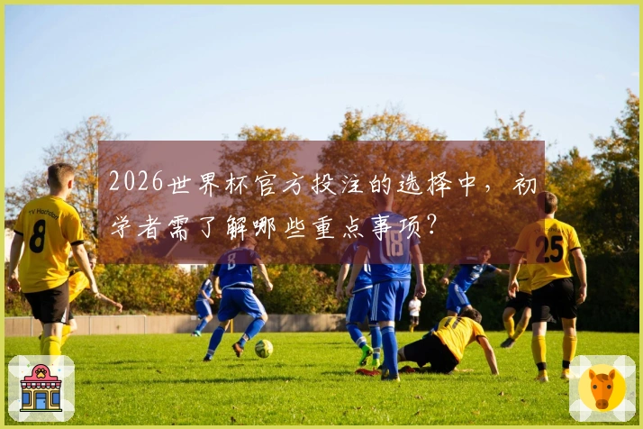 2026世界杯官方投注的选择中，初学者需了解哪些重点事项？