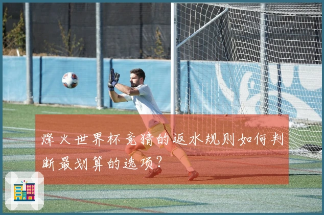 烽火世界杯竞猜的返水规则如何判断最划算的选项？