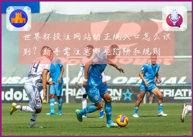 世界杯投注网站的正规入口怎么识别？新手需注意哪些陷阱和规则