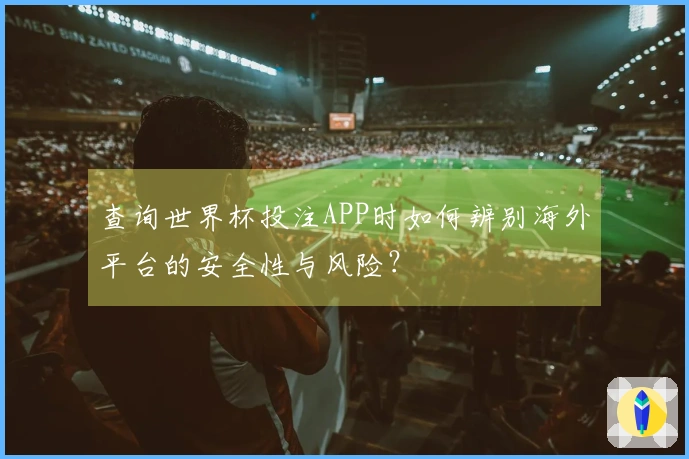 查询世界杯投注APP时如何辨别海外平台的安全性与风险？