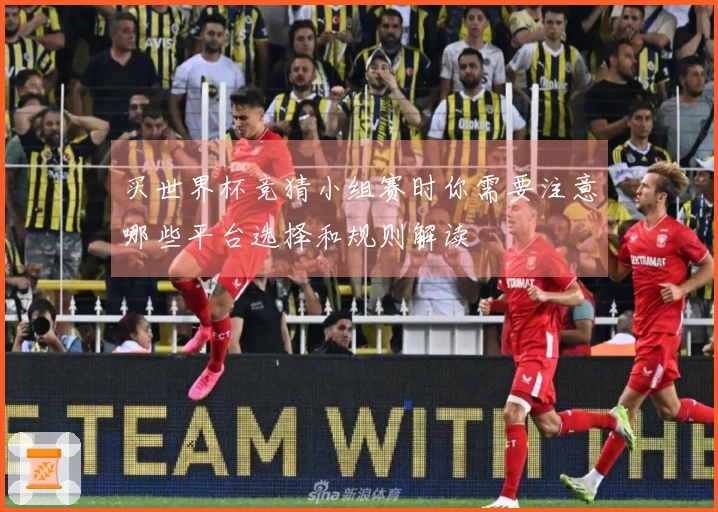 买世界杯竞猜小组赛时你需要注意哪些平台选择和规则解读