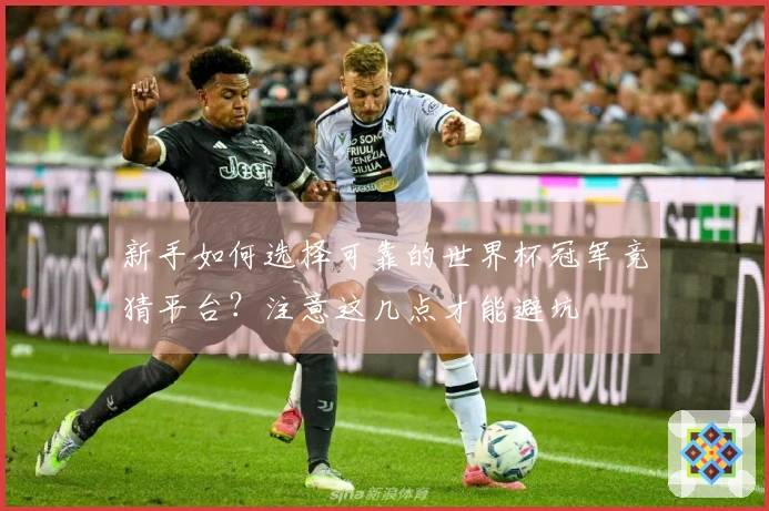 新手如何选择可靠的世界杯冠军竞猜平台？注意这几点才能避坑