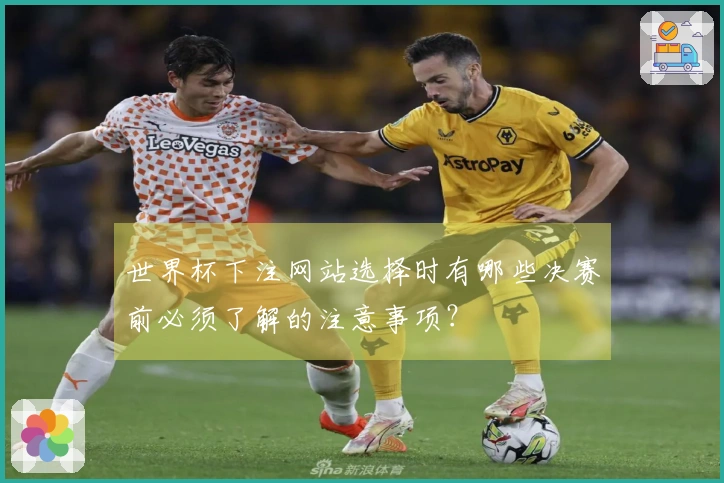 世界杯下注网站选择时有哪些决赛前必须了解的注意事项？