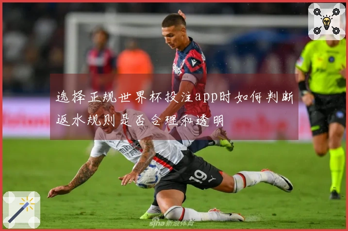 选择正规世界杯投注app时如何判断返水规则是否合理和透明