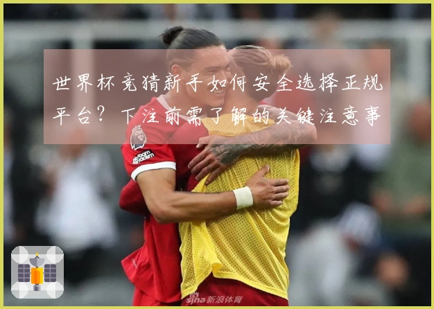 世界杯竞猜新手如何安全选择正规平台？下注前需了解的关键注意事项