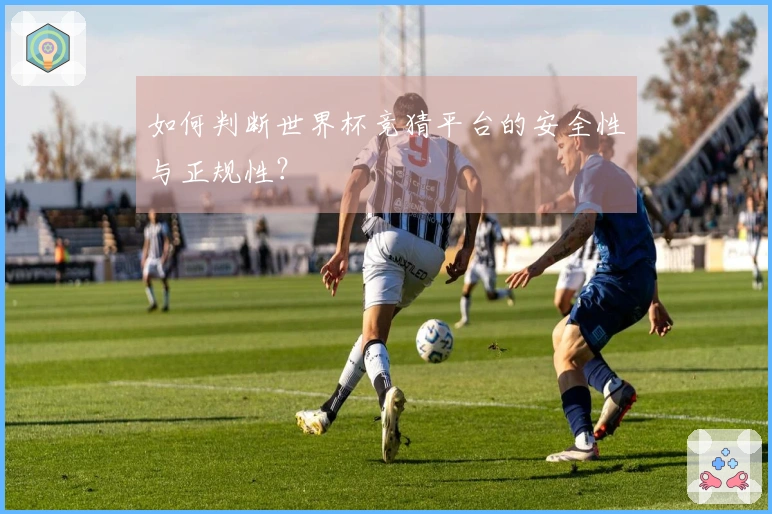 如何判断世界杯竞猜平台的安全性与正规性？