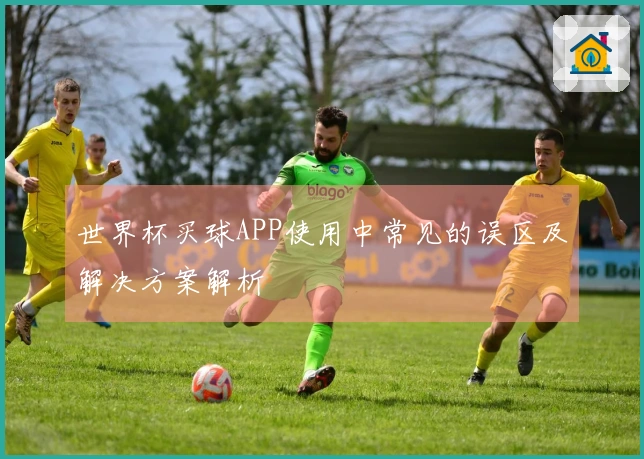 世界杯买球APP使用中常见的误区及解决方案解析