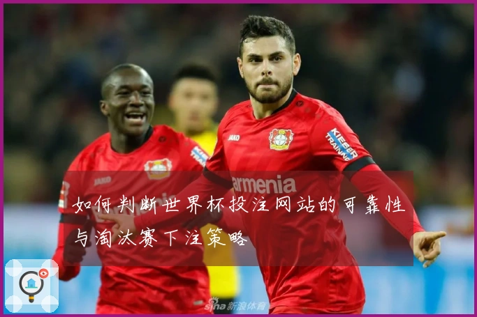 如何判断世界杯投注网站的可靠性与淘汰赛下注策略