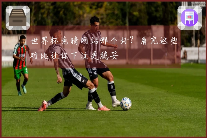 世界杯竞猜网站哪个好？看完这些对比让你下注更稳妥