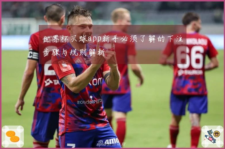世界杯买球app新手必须了解的下注步骤与规则解析