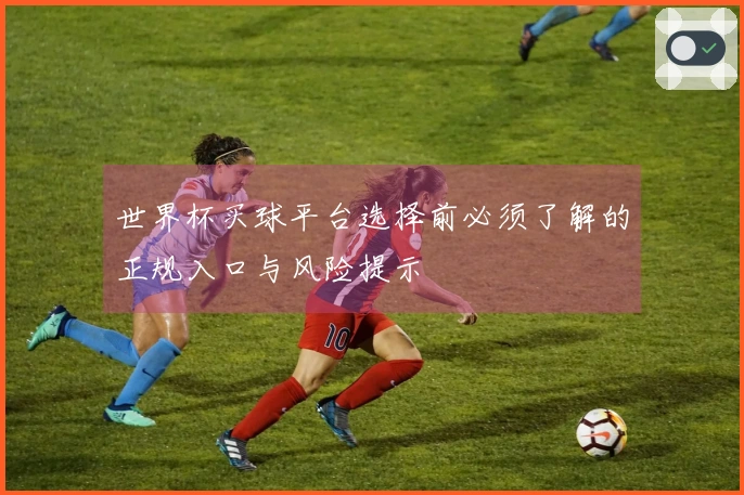 世界杯买球平台选择前必须了解的正规入口与风险提示