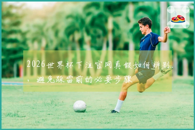 2026世界杯下注官网真假如何辨别，避免踩雷前的必要步骤