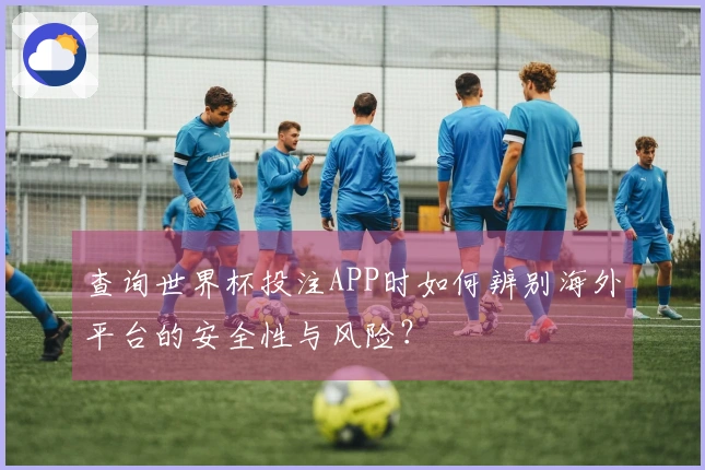 查询世界杯投注APP时如何辨别海外平台的安全性与风险？