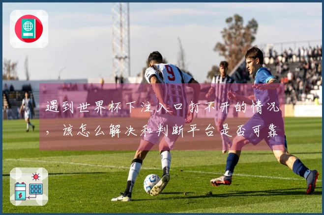 遇到世界杯下注入口打不开的情况，该怎么解决和判断平台是否可靠？