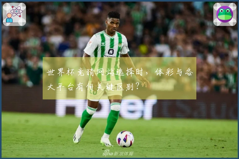 世界杯竞猜网站选择时，体彩与各大平台有何关键区别？