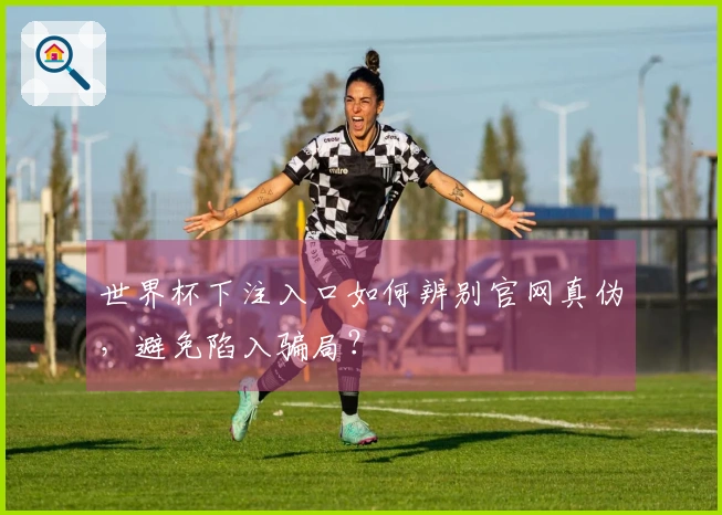 世界杯下注入口如何辨别官网真伪，避免陷入骗局？