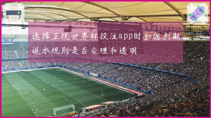 选择正规世界杯投注app时如何判断返水规则是否合理和透明