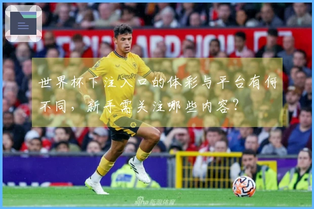 世界杯下注入口的体彩与平台有何不同，新手需关注哪些内容？