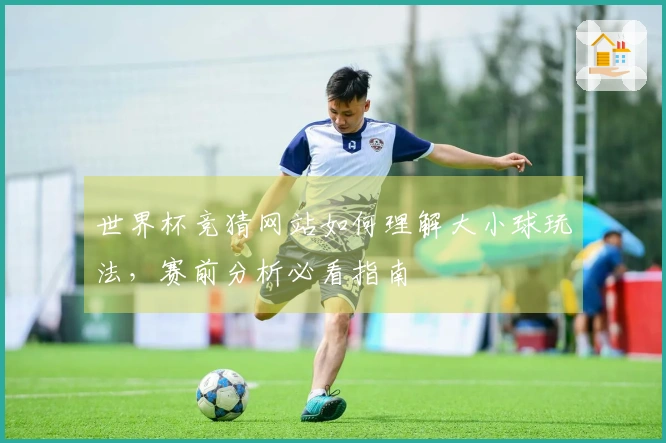 世界杯竞猜网站如何理解大小球玩法，赛前分析必看指南