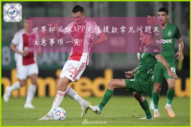 世界杯买球APP充值提款常见问题及注意事项一览