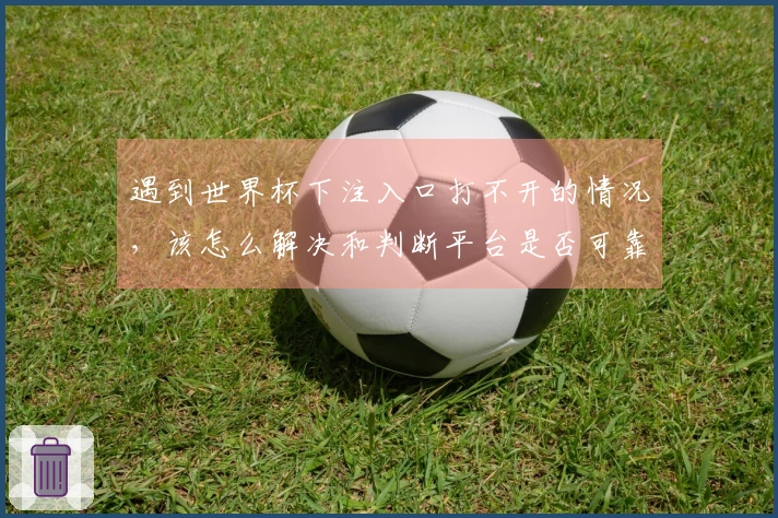 遇到世界杯下注入口打不开的情况，该怎么解决和判断平台是否可靠？