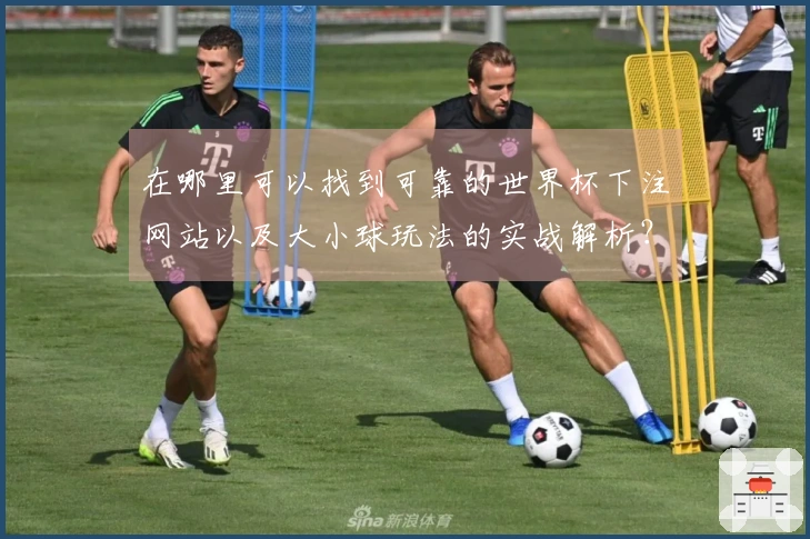 在哪里可以找到可靠的世界杯下注网站以及大小球玩法的实战解析？