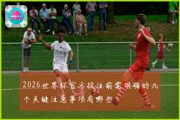 2026世界杯官方投注前需明确的几个关键注意事项有哪些
